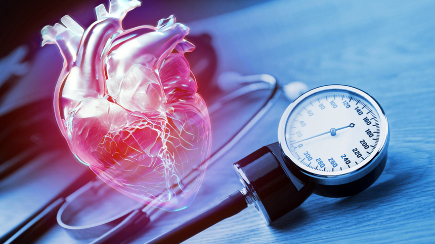 Articles What Your Blood Pressure Test Can Reveal About Your Heart Health Articles what your blood pressure test can reveal about your heart health
